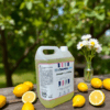 Damalim Ambi-Limón 5 LT - Imagen 2